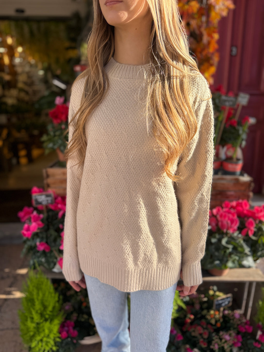 Pull Maille Perlée – Doux & Chic – 10 €